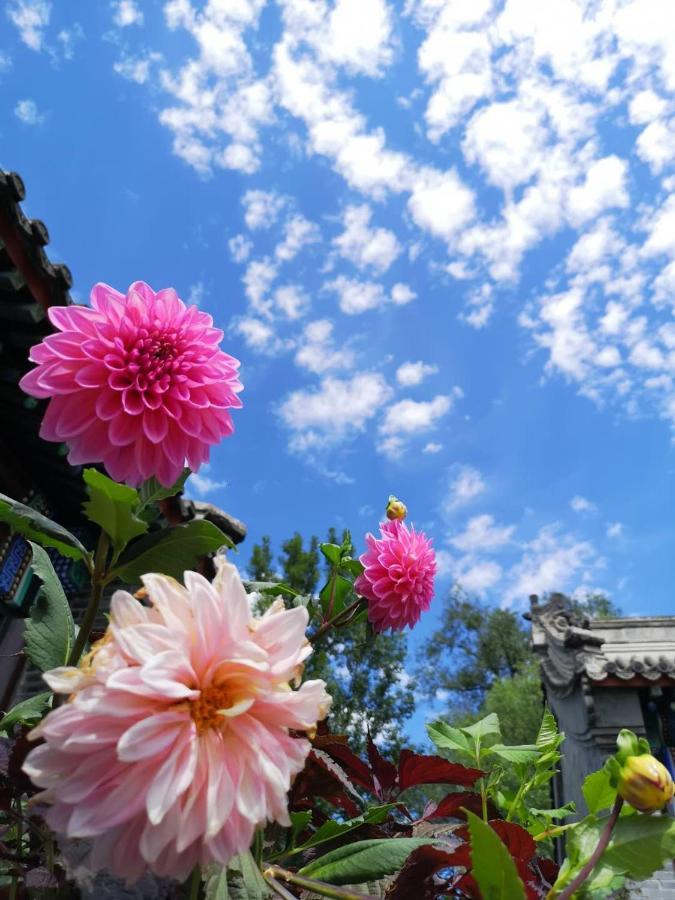 Chengde Kai Ren Hua Fu Inn Bi Shu Shan Zhuang Dian Eksteriør billede